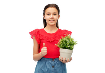 Wall Mural - environment, nature and people concept - happy smiling girl holding flower in pot showing thumbs up over white background