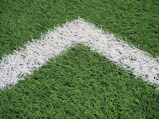 grass on a white