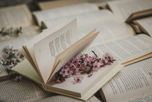 Books And Spring