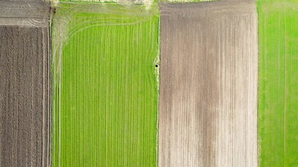 Poster - Spring fields in Wegrow County in Masovian Voivodeship of Poland