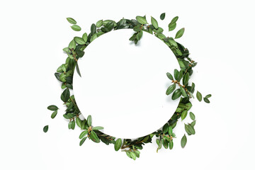 Empty white summer and spring nature background with fresh green leaves and circle frame for copy space or text creative advertising. isolated