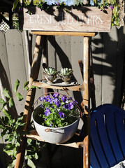 Canvas Print - garden shelf 