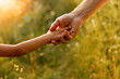 © Kostia - hands of parent and child outdoors in the park