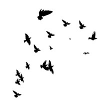 A Flock Of Flying Birds. Vector Illustration