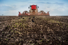 Farmers Sow, Tractor With A Seeder In A Plowed Field