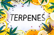 Cannabis Terpene concept with leafs lemons orange and peppercorns on white