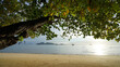 Morning on the peaceful beach of Thailand