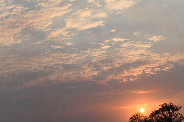 Wall Mural - Beautiful vanilla sky with clouds and sunlight before sunset above tree, Nature background
