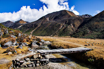 Wall Mural - landscape in the himalayas with wooden bridge during trekking in Arunachal Pradesh in India