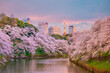 Chidorigafuchi park during the spring season with sakura in Tokyo
