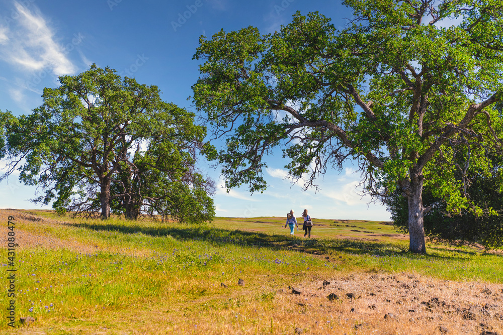 Two women walking in the field down a trail at a park in sunny ...