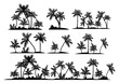 © bleskk - Strip of palm trees. silhouette. vector. eps