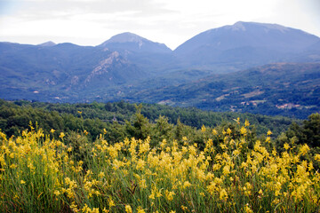 Sticker - Lanscape of Pollino national park in summer, Basilicata region, ITaly 