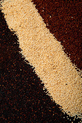 Wall Mural - Set with different types of quinoa on dark background. Organic food concept.