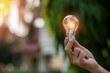 © maeching - hand holding light bulb against nature, icons energy sources for renewable,