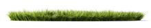 Green Grass On White Background. 3d Illustration
