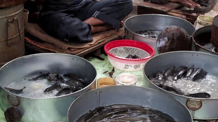 Wall Mural - Unknown people selling fish at a street market on December 18, 2021 in the Chowringhee area of Kolkata, West Bengal, India