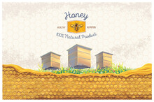 Bee Apiary On A Designer Background, With Honeycomb In The Foreground And A Symbolic Illustration Of A Bee As A Design Element.
