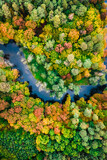 Fototapeta Pomosty - Aerial view of wildlife, Poland. River and forest in autumn.