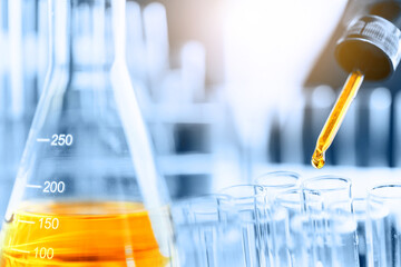 Wall Mural - dropping sample to test tube containing chemical liquid in laboratory, lab chemistry or science rese