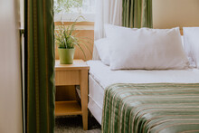 Small Hotel Room With A Double Bed And A Bedside Table Under The Window Decorated With A Plant