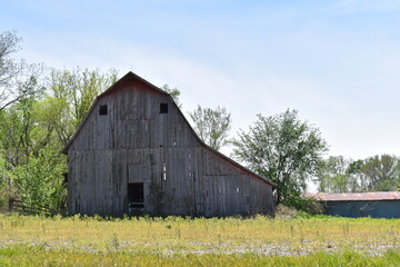 Wall Mural - Old Barn