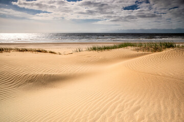 Wall Mural - sand beach at north sea on sunny day