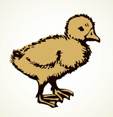 Poster - Little duckling. Vector drawing icon