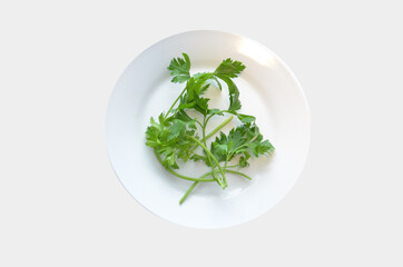 parsley on a white plate