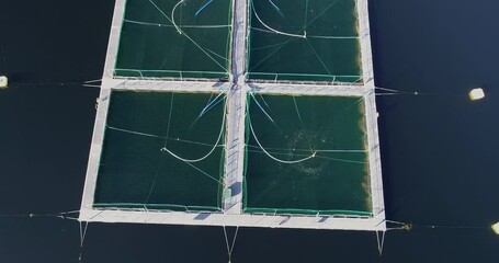 Wall Mural - Salmon fish farm. Bergen, Norway.