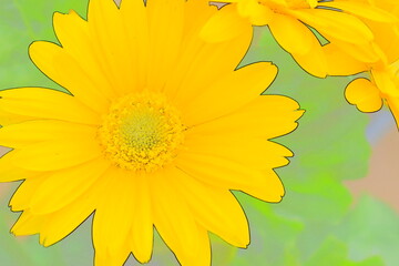 Poster - Yellow Flower