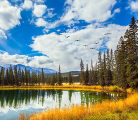 Poster - The lake with cold green water