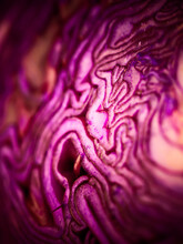 Cross Section Of A Red Cabbage Background. Selective Focus. Macro. Red Cabbage Has Bluish-purple Leaves With A Purple Tinge, With An Increased Content Of Anthocyanins