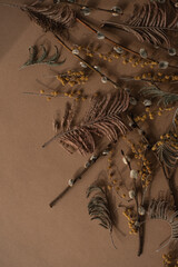 Wall Mural - Flat lay, top view. Floral pattern with small mimosa flowers, juniper, pussy willow on brown background. Spring or summer concept. A background with flowers.