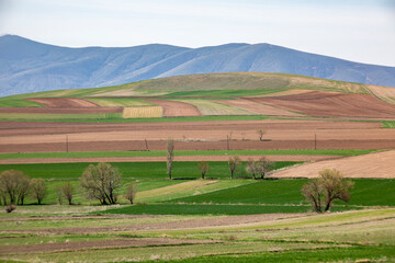 Sticker - the fertile lands of Anatolia that awaken to spring