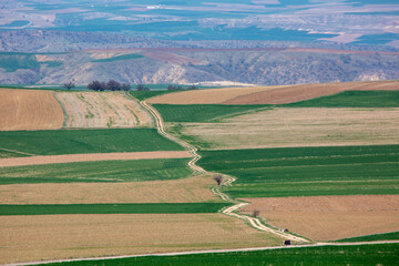 Sticker - the fertile lands of Anatolia that awaken to spring