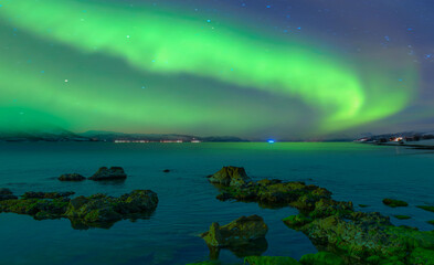 Wall Mural - northern lights (aurora borealis) in the sky with rocky sea coast full of green seaweed
