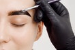 Master applies brow paste with a brush to eyebrows. Styling and lamination of eyebrows. Woman doing eyebrow permanent makeup correction. Eyebrow shaping with a cosmetic brush close-up.