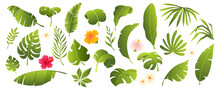 Tropical Leaves Collection. Tropical Plants And Flowers Isolated On White. Elements For Your Design. Vector Illustration.