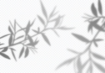 Aufkleber - Vector Transparent Shadows of Olive Leaves. Decorative Design Elements for Collages. Creative Overlay Effect for Mockups