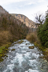 Wall Mural - Mountain river Yupshara. A cold mountain river with a rapid current in the gorge. Green moss stones on the shores. Caucasus. Abkhazia.