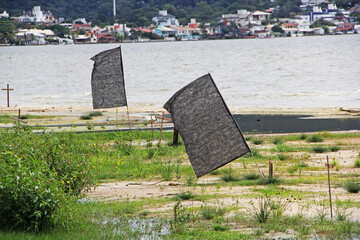 Wall Mural - black flags on beach
