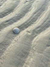 Seashell On A Rippled White Sand Beach, Boracay Philippines, 20200124_1783.