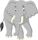 Fototapeta Dinusie - Cartoon elephant isolated on white background 
