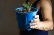 © Narayan - man holding a potted plant for decoration, houseplant concept
