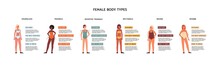 Female Body Types In Classification Of Geometric Shapes, Vector Illustration.