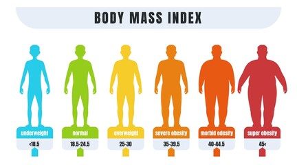 Man BMI. Body mass index infographics for male with normal weight and obesity. Fat and skinny silhouettes. Diagram for medical diagnostic. Vector underweight or adiposity diagnosis