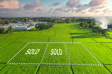 Wall Mural - land for sale and investment in aerial view. include green field, agriculture farm, residential hous
