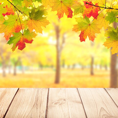 Poster - Vintage wooden table top and maple leaves on blurred autumn backdrop