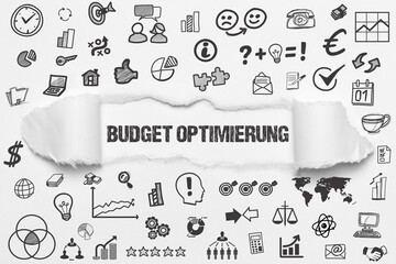 Poster - Budget Optimierung